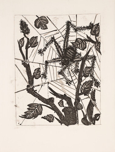 The Spider (Histoire Naturelle - Textes de Buffon, B.353) van Pablo Picasso, Afdruk te koop op Singulart