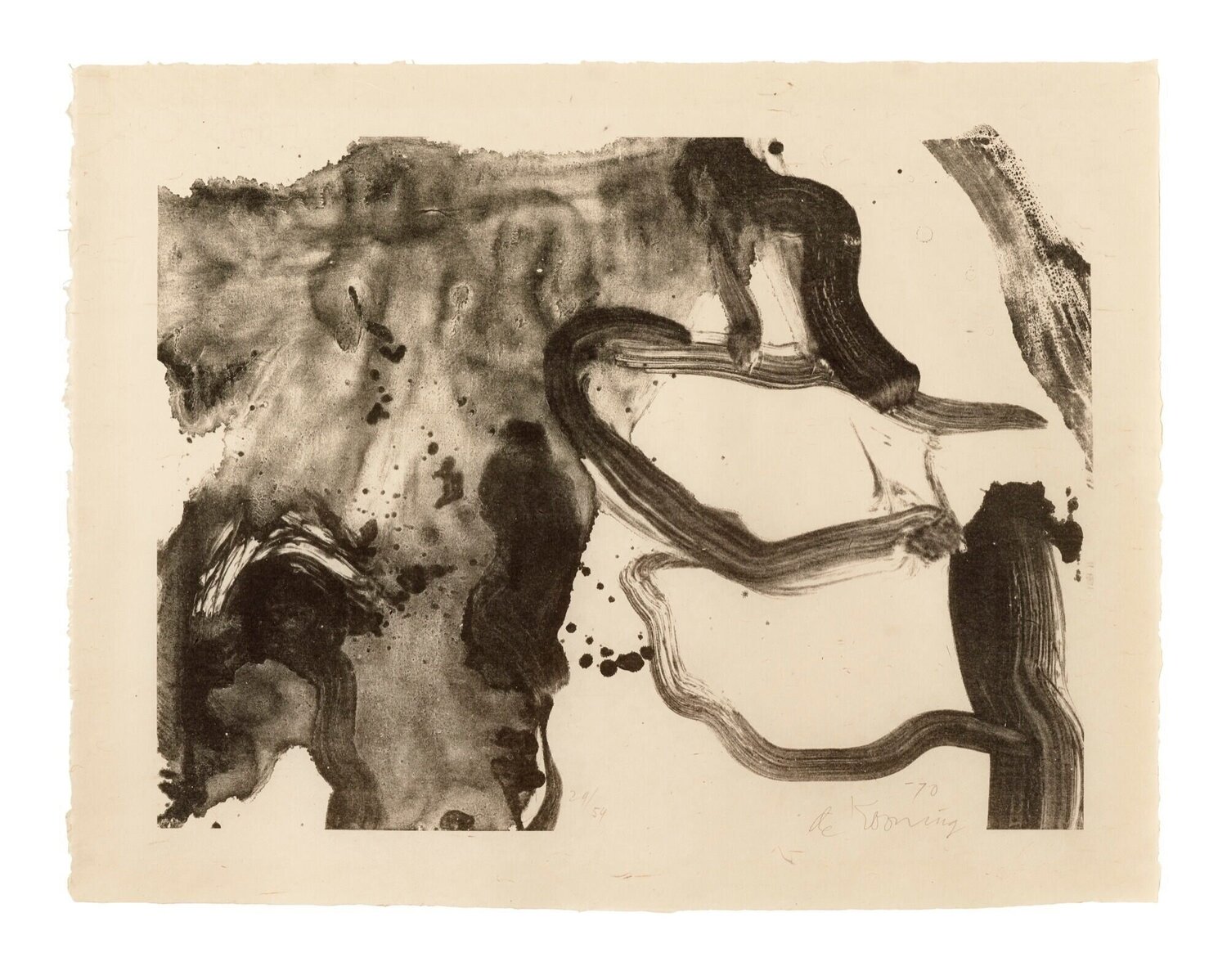 Landing Place Willem de Kooning