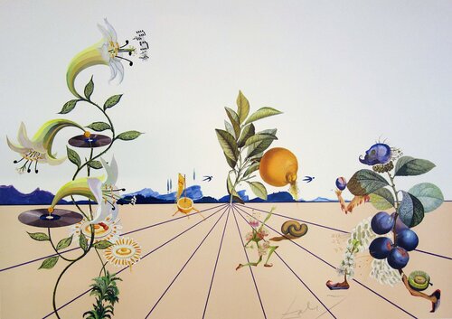 Flordali I Salvador Dalí
