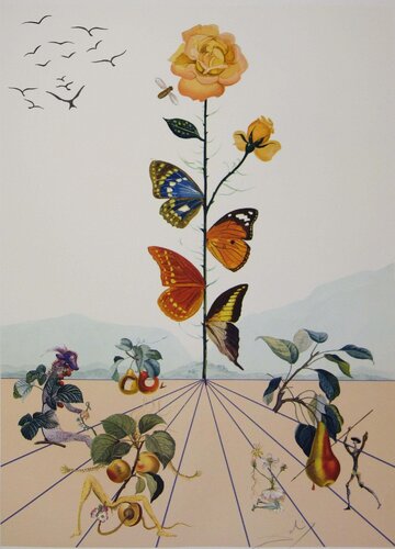 Flordali : La rose papillon van Salvador Dalí, Afdruk te koop op Singulart