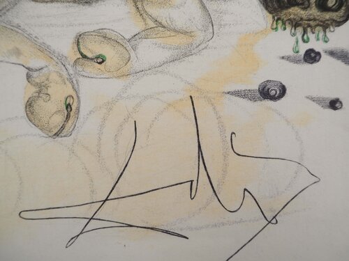 Casanova : La femme et le cochon aux truffes di Salvador Dalí, Stampa in vendita su Singulart