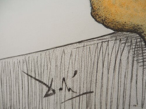 Casanova : L'amour sommelier et le concombre coupé di Salvador Dalí, Stampa in vendita su Singulart