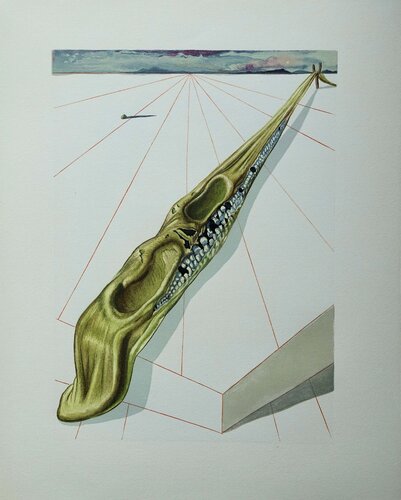 Les blasphémateurs, Bois gravé original de Salvador Dalí, Impresión a la venta en Singulart