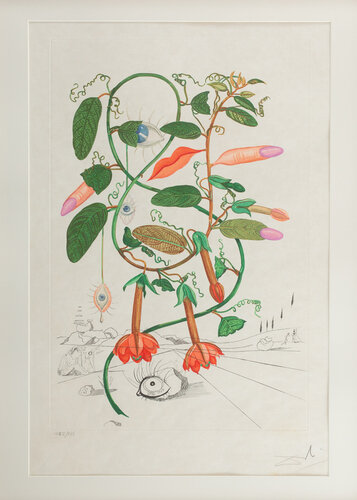 Cobea (Pisum Sensuale) van Salvador Dalí, Afdruk te koop op Singulart