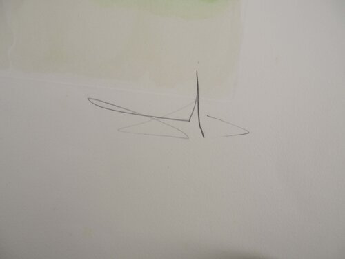 La cour du lion Salvador Dalí