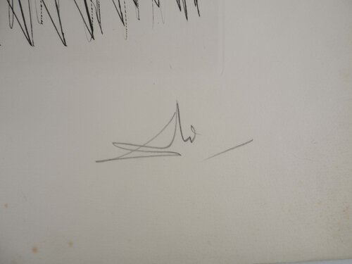 Portrait de La Fontaine Salvador Dalí