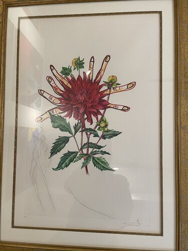Dahlia Rapax par Salvador Dalí, Édition en vente sur Singulart