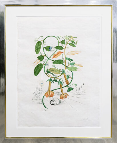 Cobea (Pisum sensuale) par Salvador Dalí, Édition en vente sur Singulart