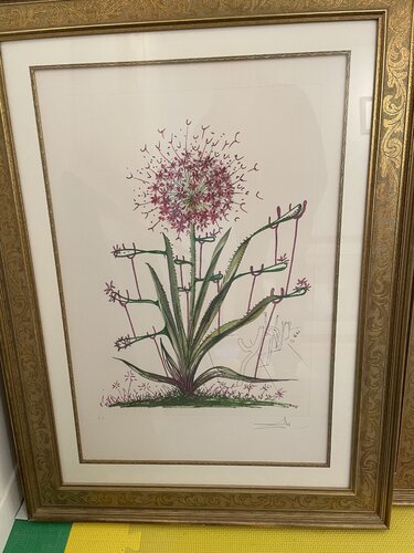 Alum Christophe Pilique Pubescentes (Desert Cactus) par Salvador Dalí, Édition en vente sur Singulart