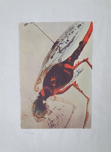 Locusta Et Bruchus di Salvador Dalí, Stampa in vendita su Singulart