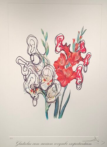 Gladiolus Cum Aurium Corymbo Expectanium by Salvador Dalí, Print for Sale on Singulart