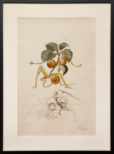 Apricot Knight di Salvador Dalí, Stampa in vendita su Singulart