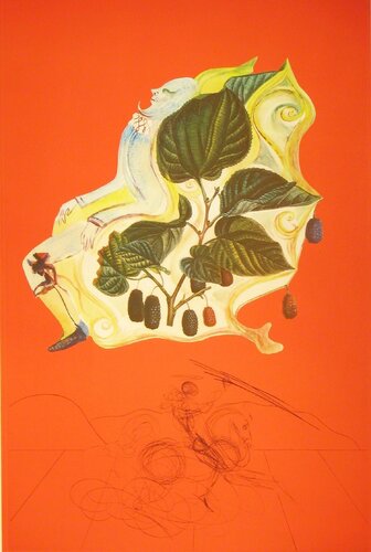 Blackberries par Salvador Dalí, Édition en vente sur Singulart
