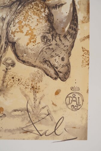 Rhinocéros : Hommage à Albrecht Dürer by Salvador Dalí, Print for Sale on Singulart