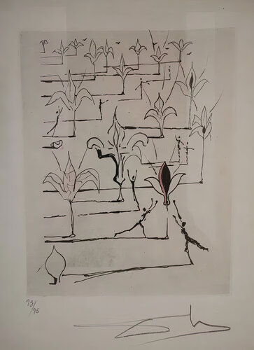 POEMES MAO TSE TOUNG, Plancha 8 van Salvador Dalí, Afdruk te koop op Singulart