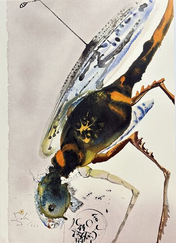 Locust And Grasshopper (from Biblia Sacra) van Salvador Dalí, Afdruk te koop op Singulart
