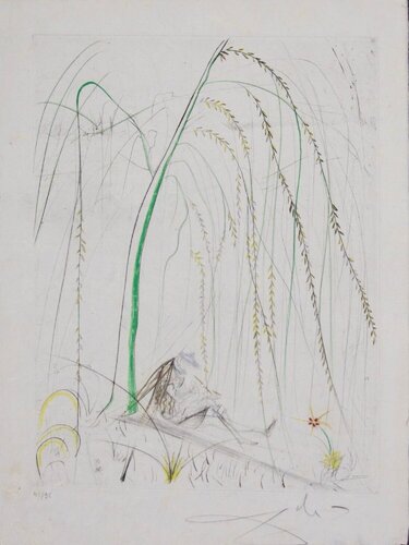 Le Saule Pleurer (Weeping Willow) by Salvador Dalí, 版畫 for Sale on Singulart
