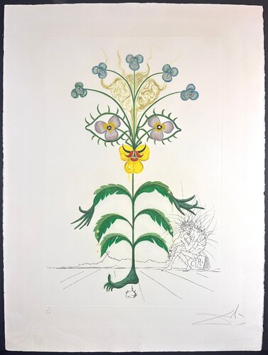 Flora Dalinae Viola Cogitans/Self-Portrait Pansy by Salvador Dalí, Print for Sale on Singulart