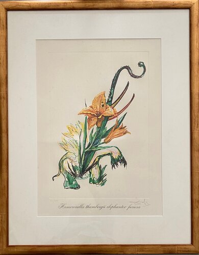 Hemerocallis thumbergü elephant furiosa par Salvador Dalí, Édition en vente sur Singulart