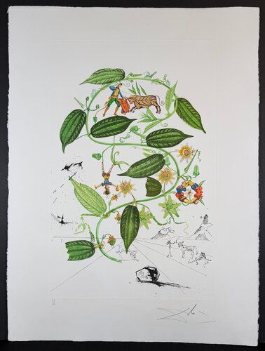 Flora Dalinae Passionflower de Salvador Dalí, Impresión a la venta en Singulart