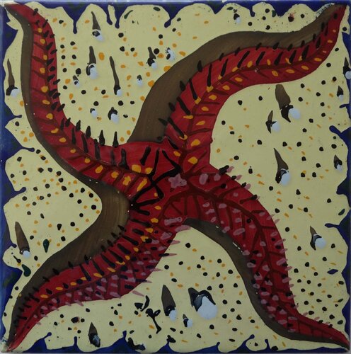 Etoile de mer rouge - Céramique originale signée de Salvador Dalí, Impresión a la venta en Singulart