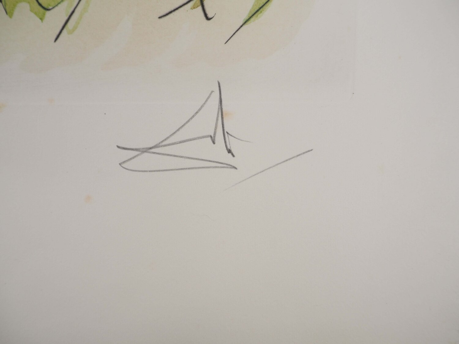 Cerfs au printemps (Le cerf malade) Salvador Dalí Druck zu verkaufen