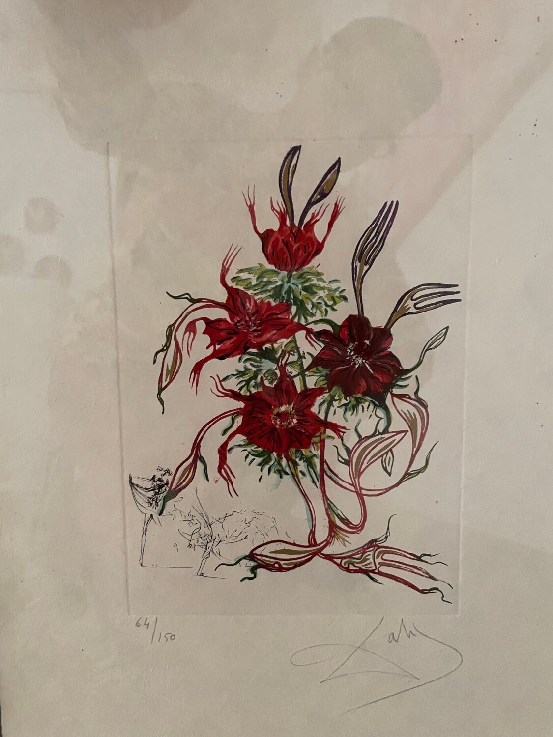 Anemone per antipasti Salvador Dalí Altri media in vendita