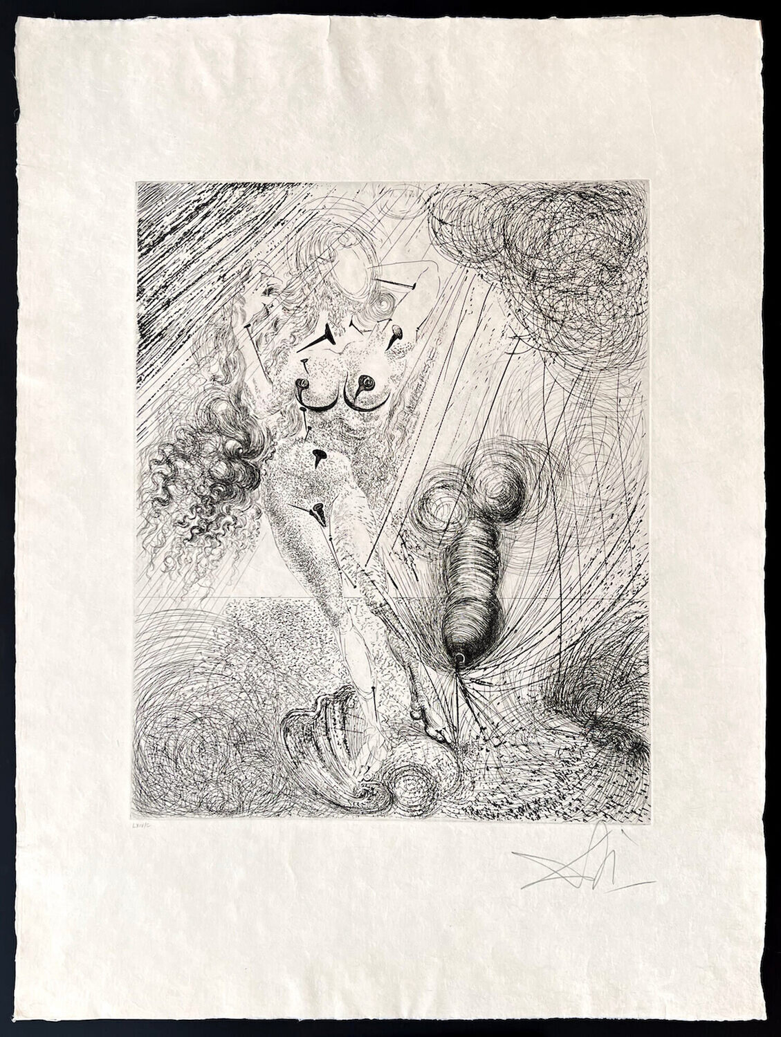 Birth of Venus Salvador Dalí Druck zu verkaufen