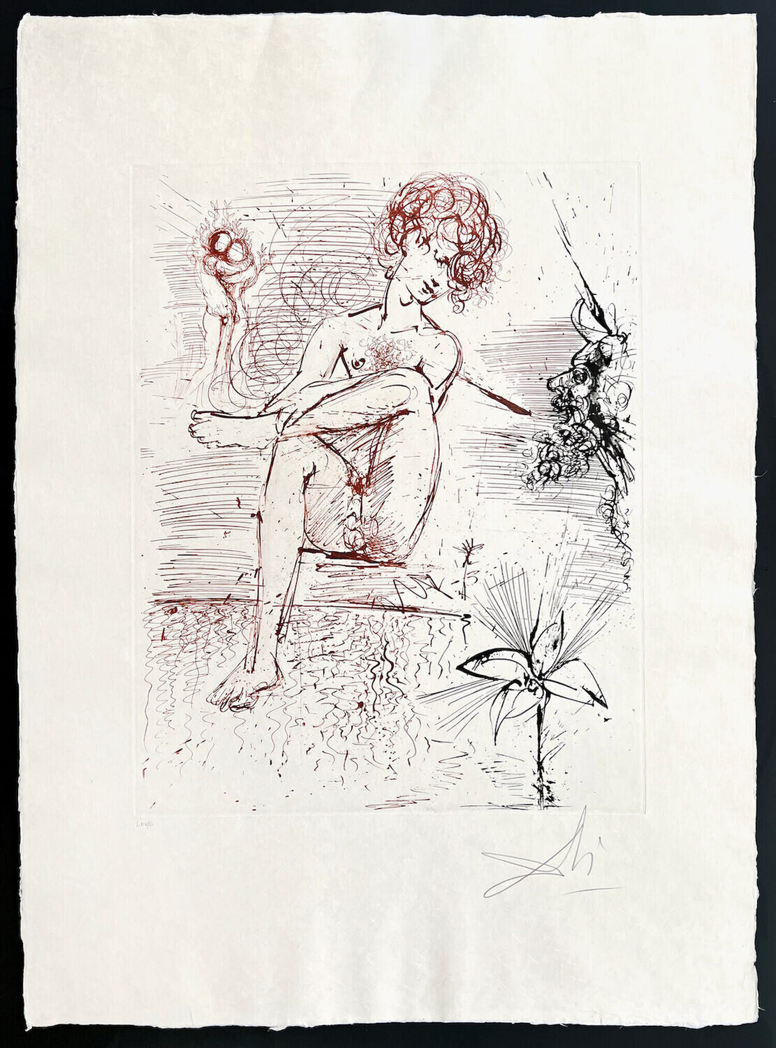 Narcissus Salvador Dalí Stampa in vendita