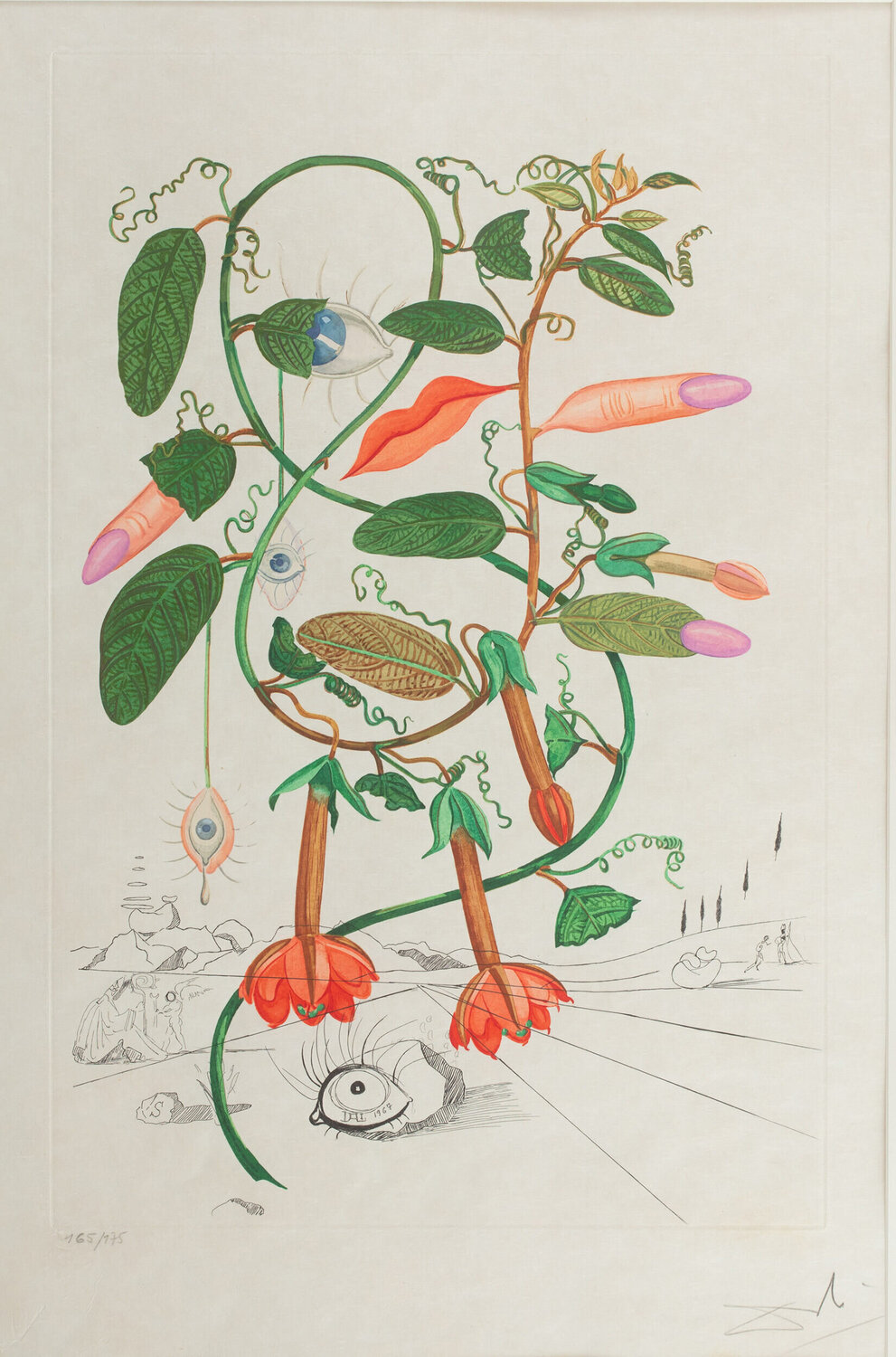 Cobea (Pisum Sensuale) Salvador Dalí Afdruk te koop