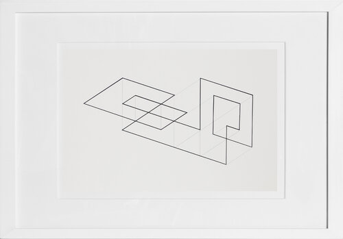 Challenging Confusion - P1, F13, I1 Josef Albers