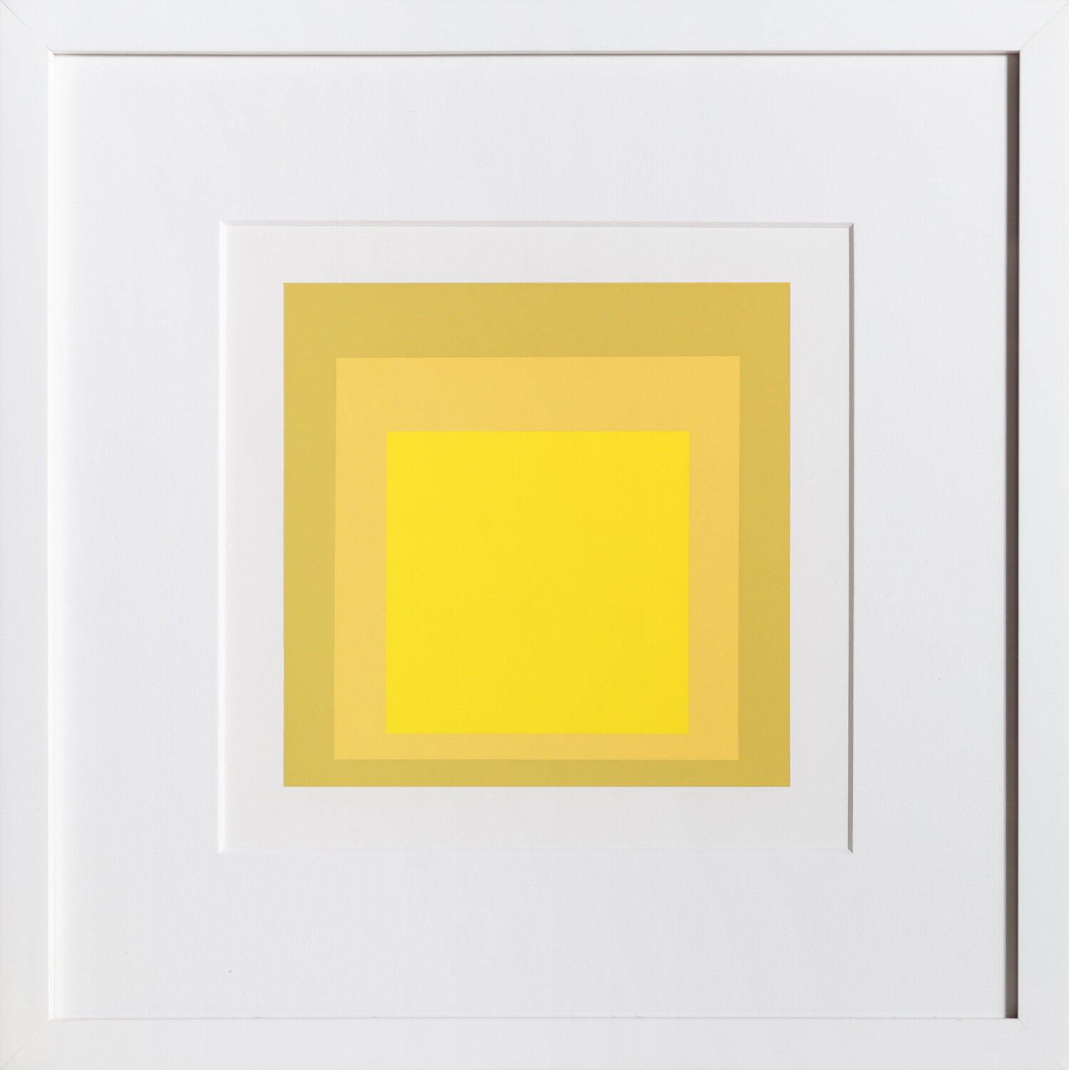 Homage to the Square - P2, F24, I2 Josef Albers Druck zu verkaufen