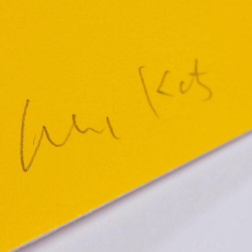 Alex Katz, Black Dress (Christy) di Alex Katz, Stampa in vendita su Singulart