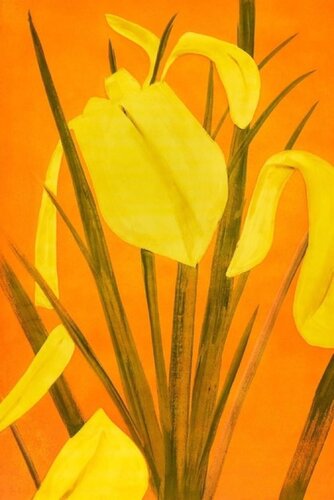 Yellow Flags 4 van Alex Katz, Afdruk te koop op Singulart