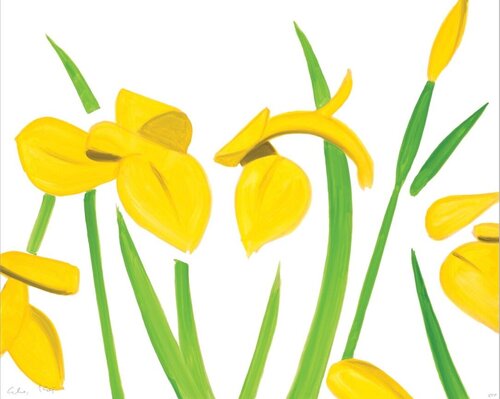 Yellow Flags on White van Alex Katz, Afdruk te koop op Singulart