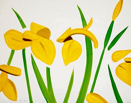 Yellow Flags on White von Alex Katz, Druck kaufen auf Singulart