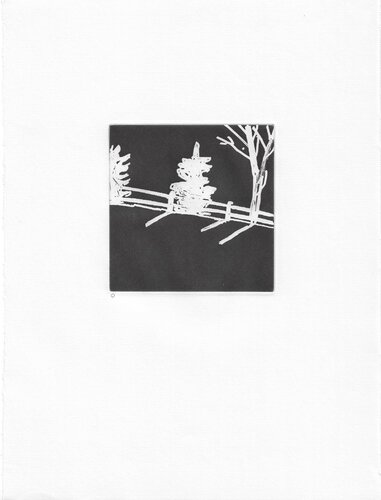 Gloria 7, 2005 van Alex Katz, Afdruk te koop op Singulart