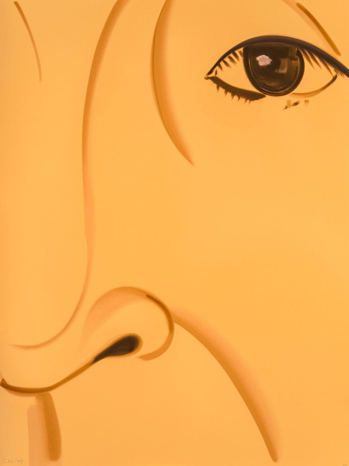 Ada 5 (from the Ada Portfolio) Alex Katz Afdruk te koop