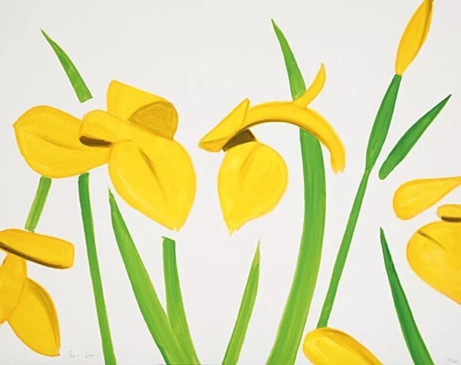 Yellow Flags on White Alex Katz Afdruk te koop
