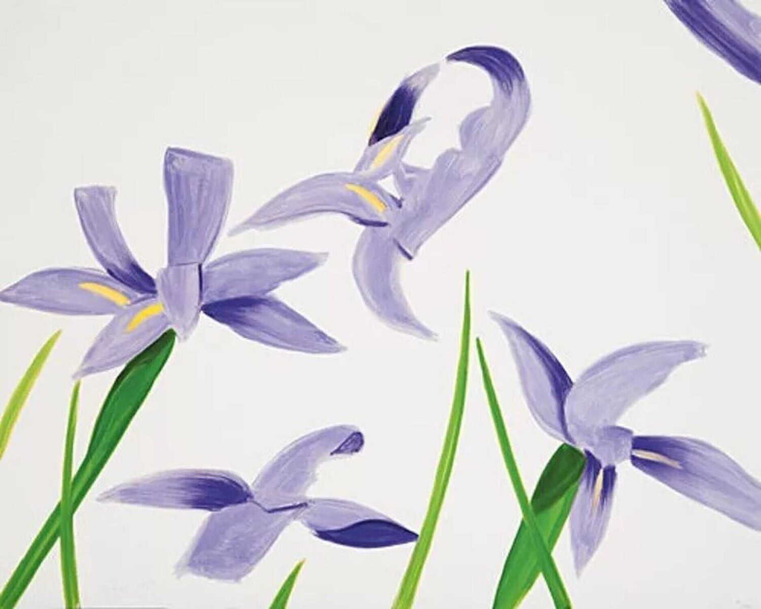 Purple Irises on White Alex Katz Afdruk te koop