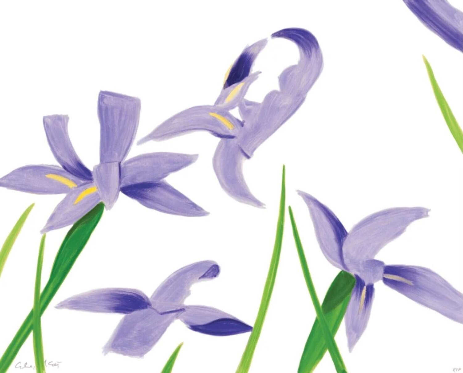 Purple Irises on White Alex Katz Afdruk te koop