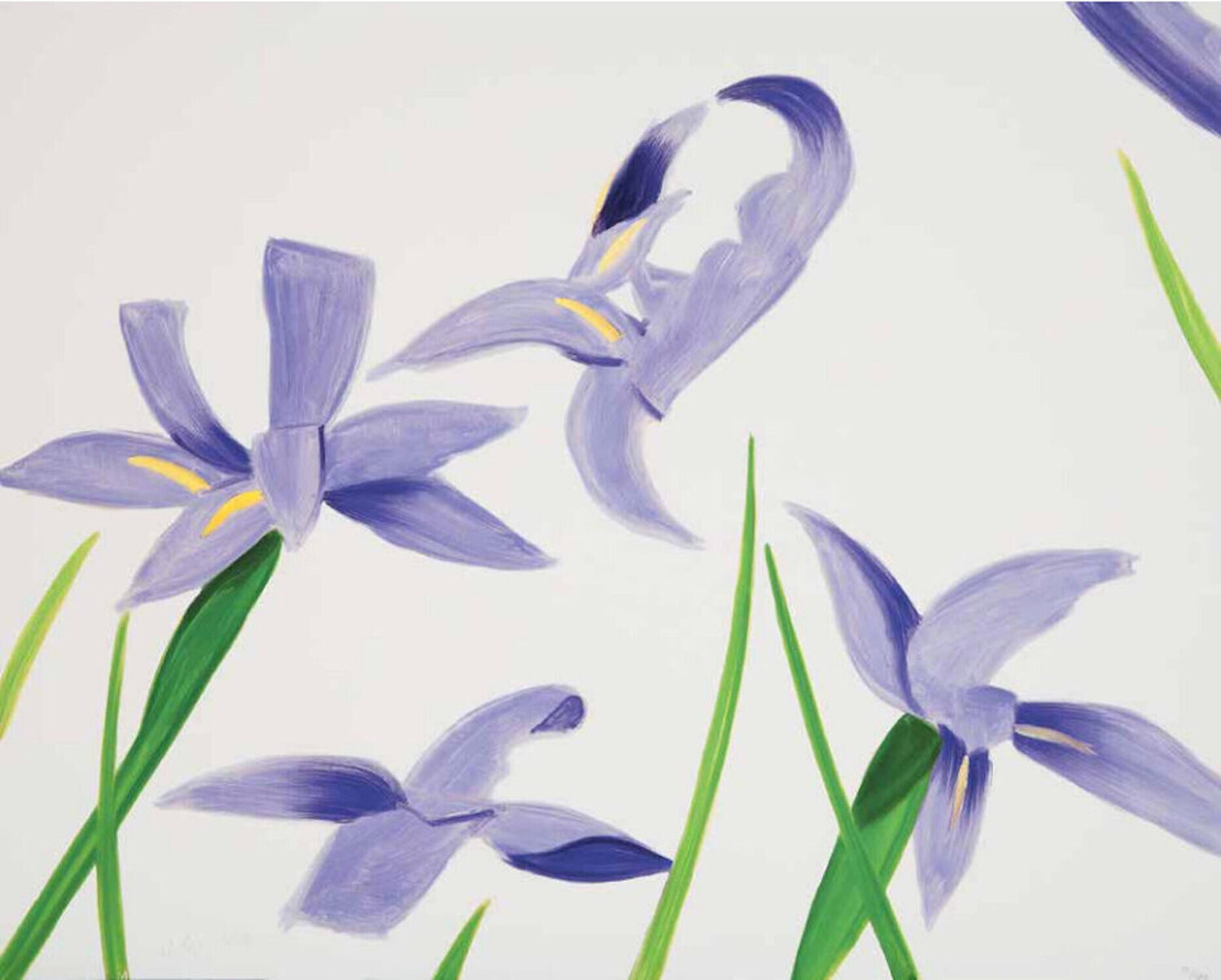 Purple Irises on White Alex Katz Stampa in vendita