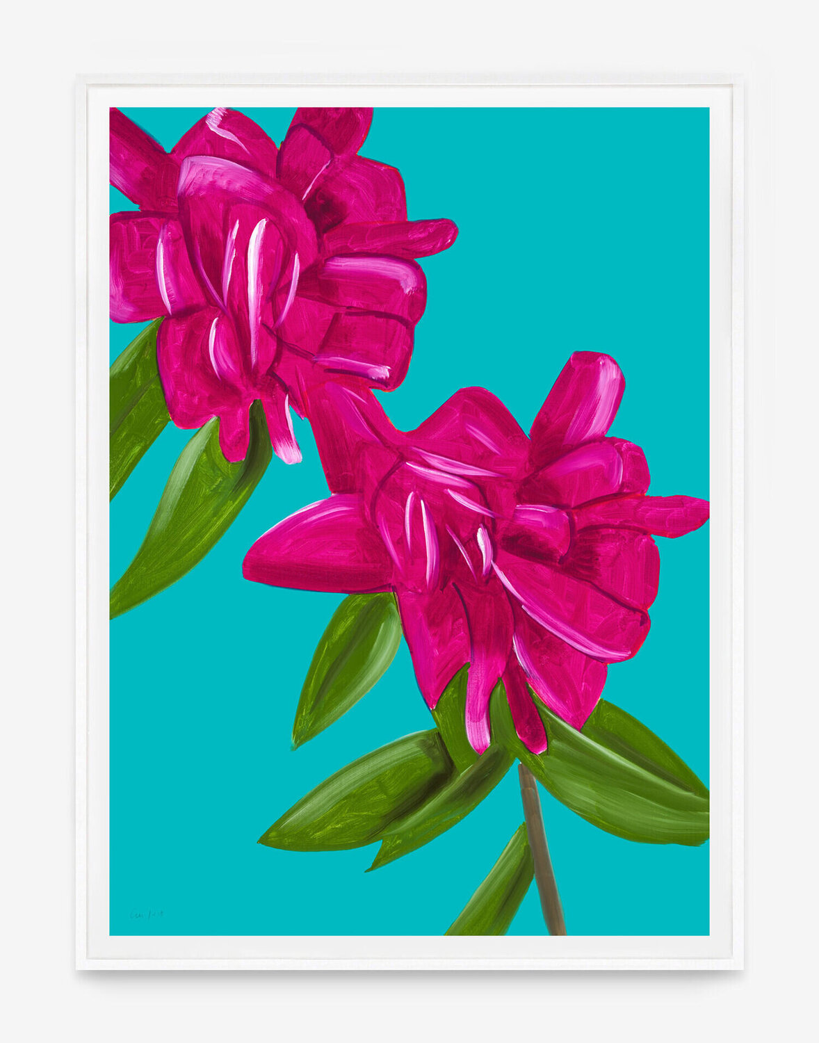 Peonies Alex Katz Afdruk te koop