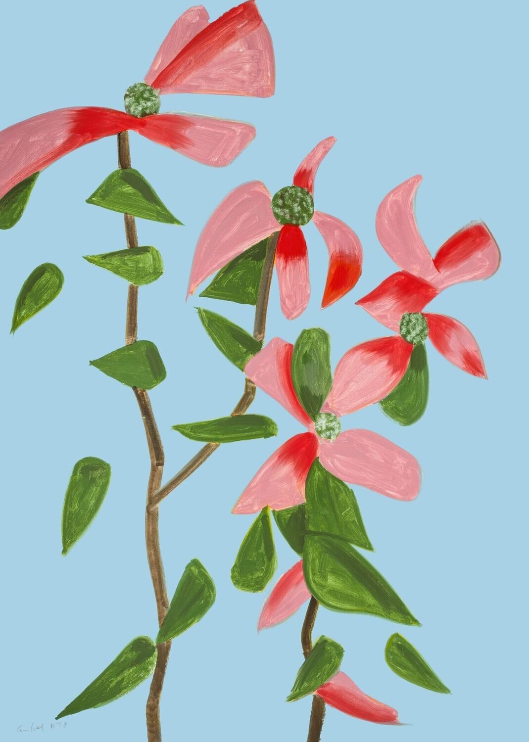 Red Dogwood 2 Alex Katz Afdruk te koop