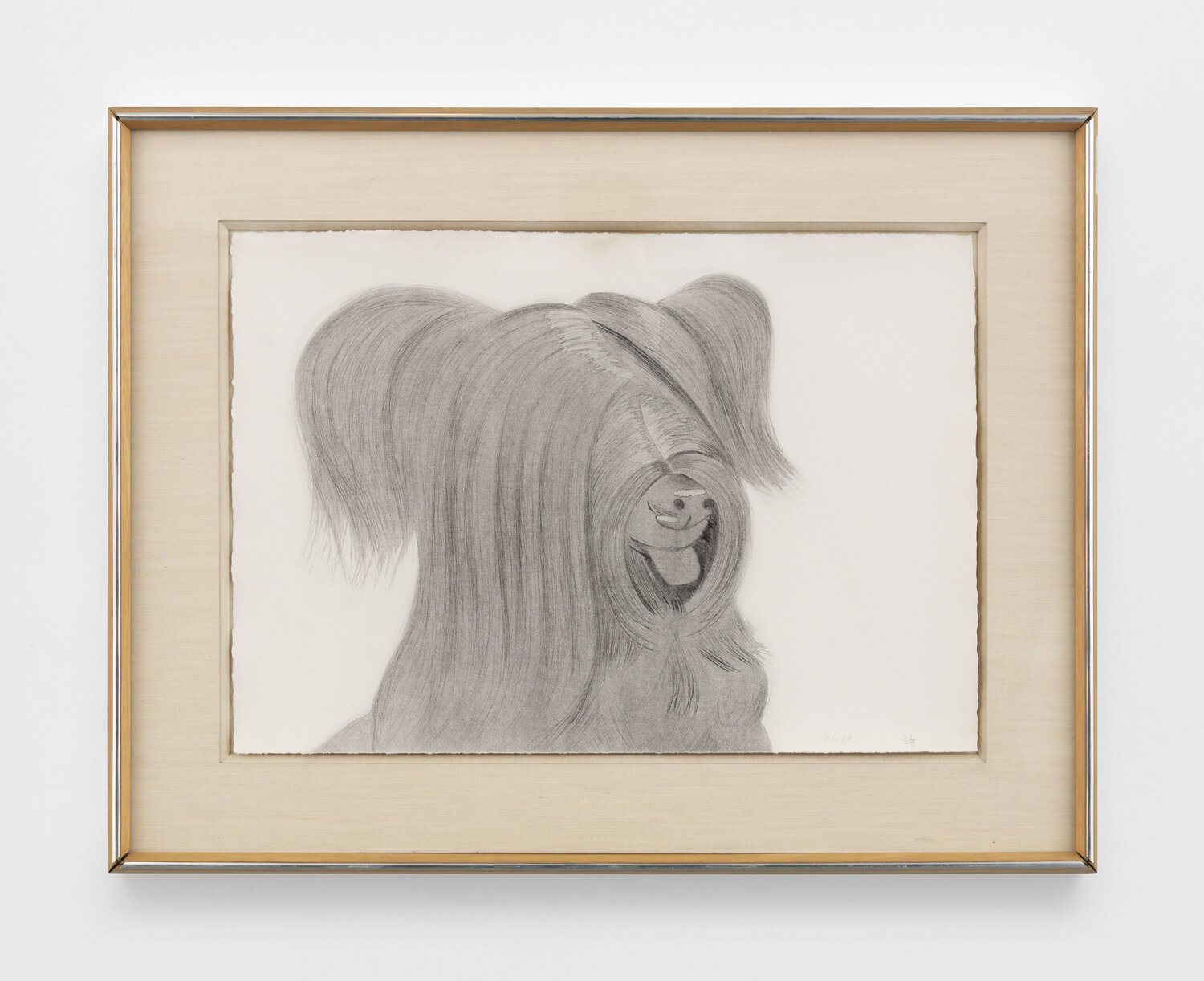 Sunny Alex Katz Stampa in vendita