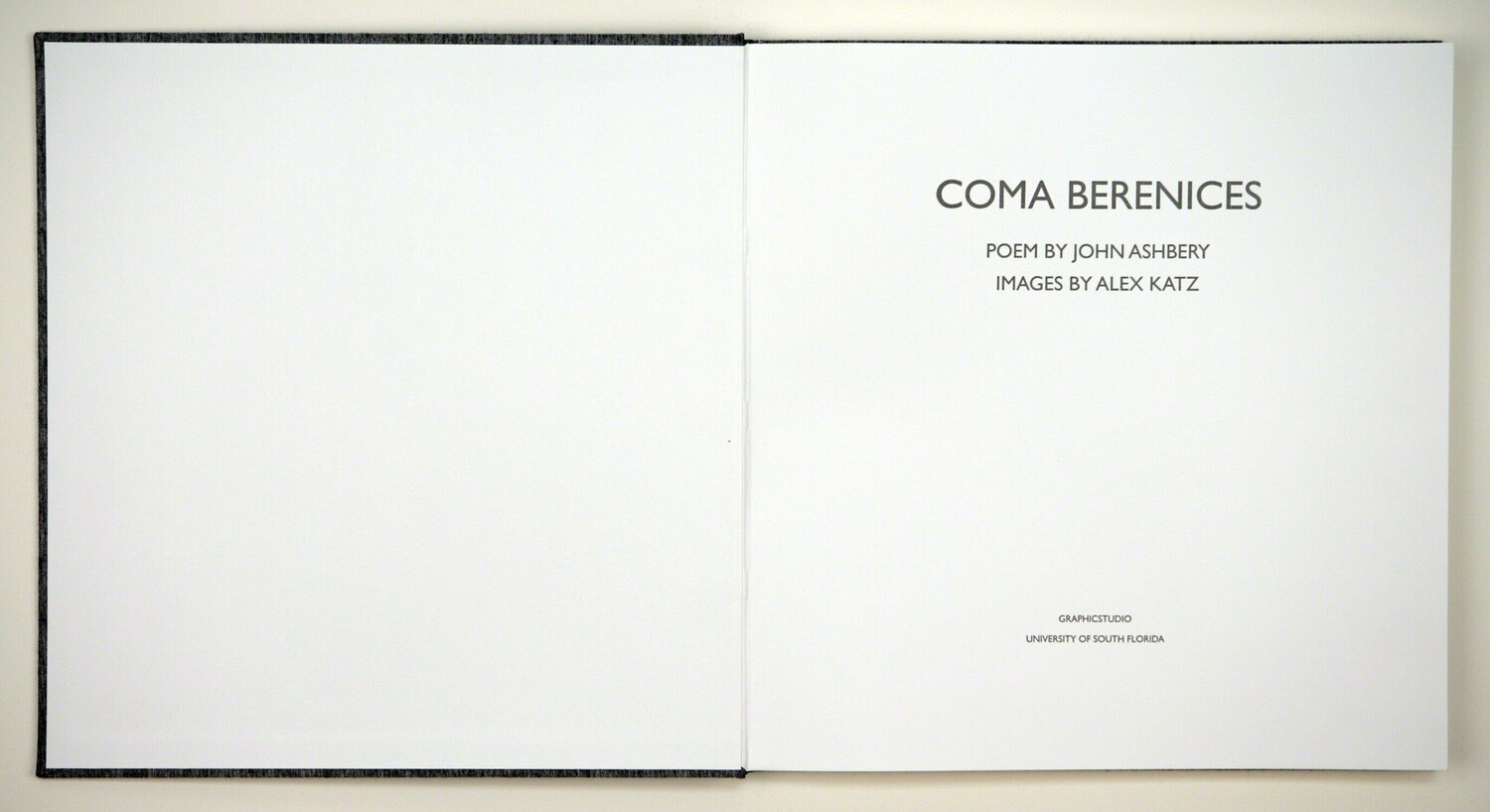 Coma Berenices Alex Katz Afdruk te koop