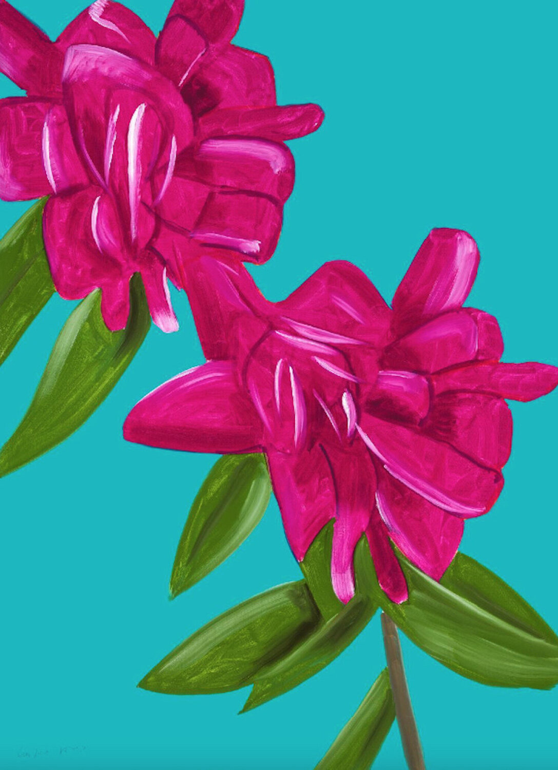 Peonies Alex Katz Afdruk te koop