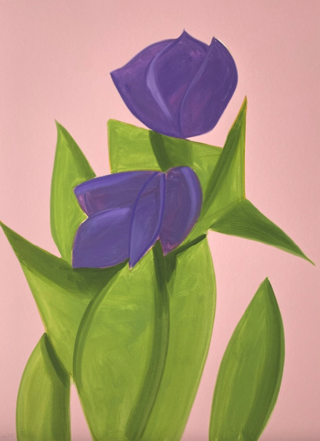 Purple Tulips 2 Alex Katz Afdruk te koop