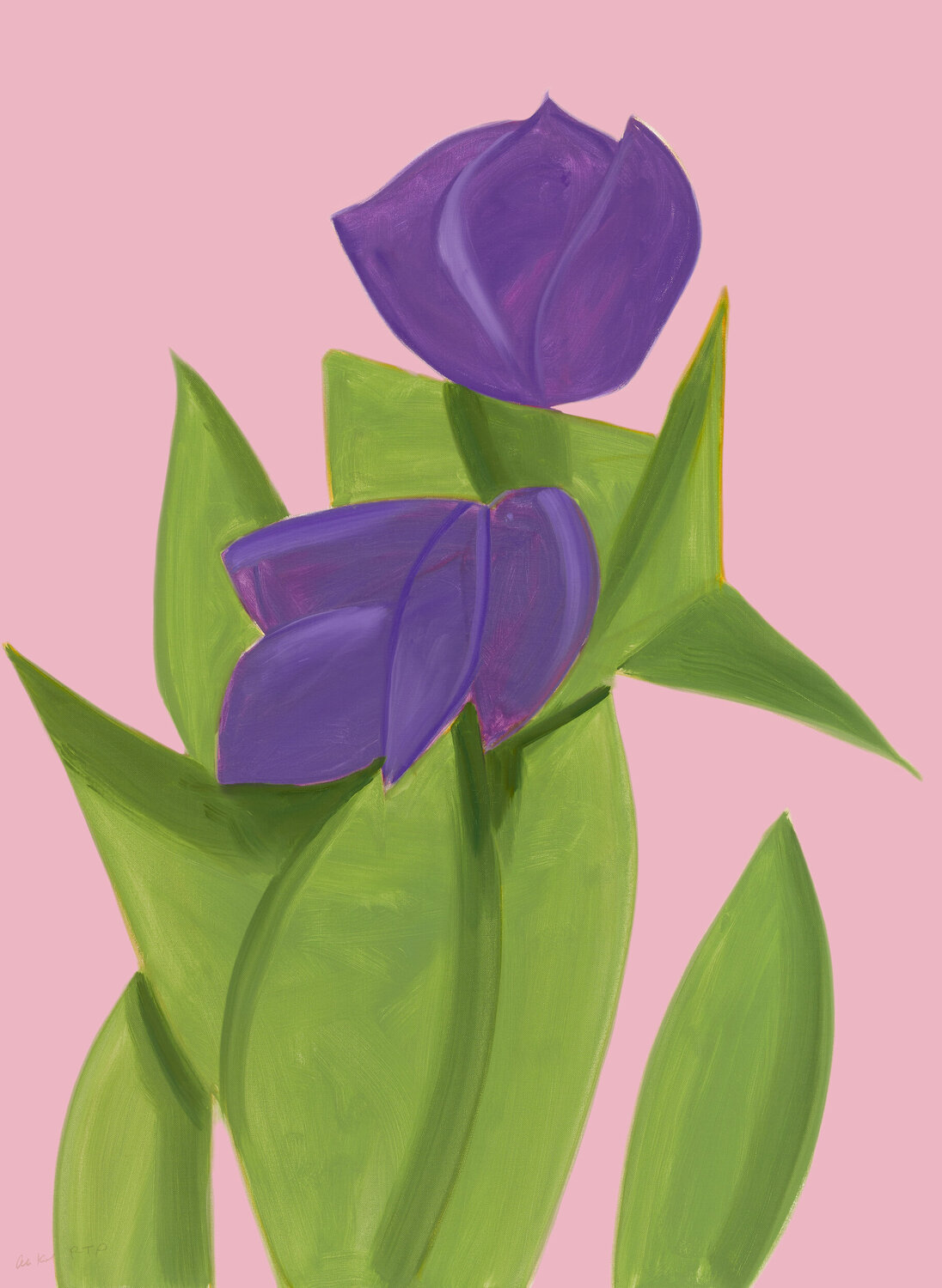 Purple Tulips 2 Alex Katz Afdruk te koop