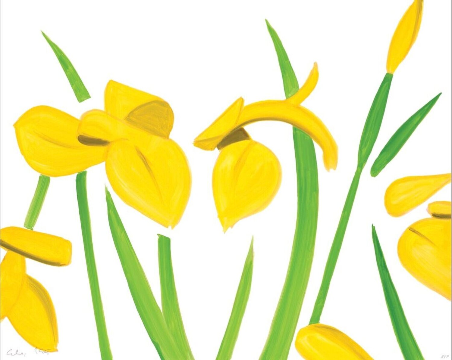 Yellow Flags on White Alex Katz Afdruk te koop